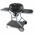 Bärbar Grill Fieldmann FZG 1014 Metall Stål